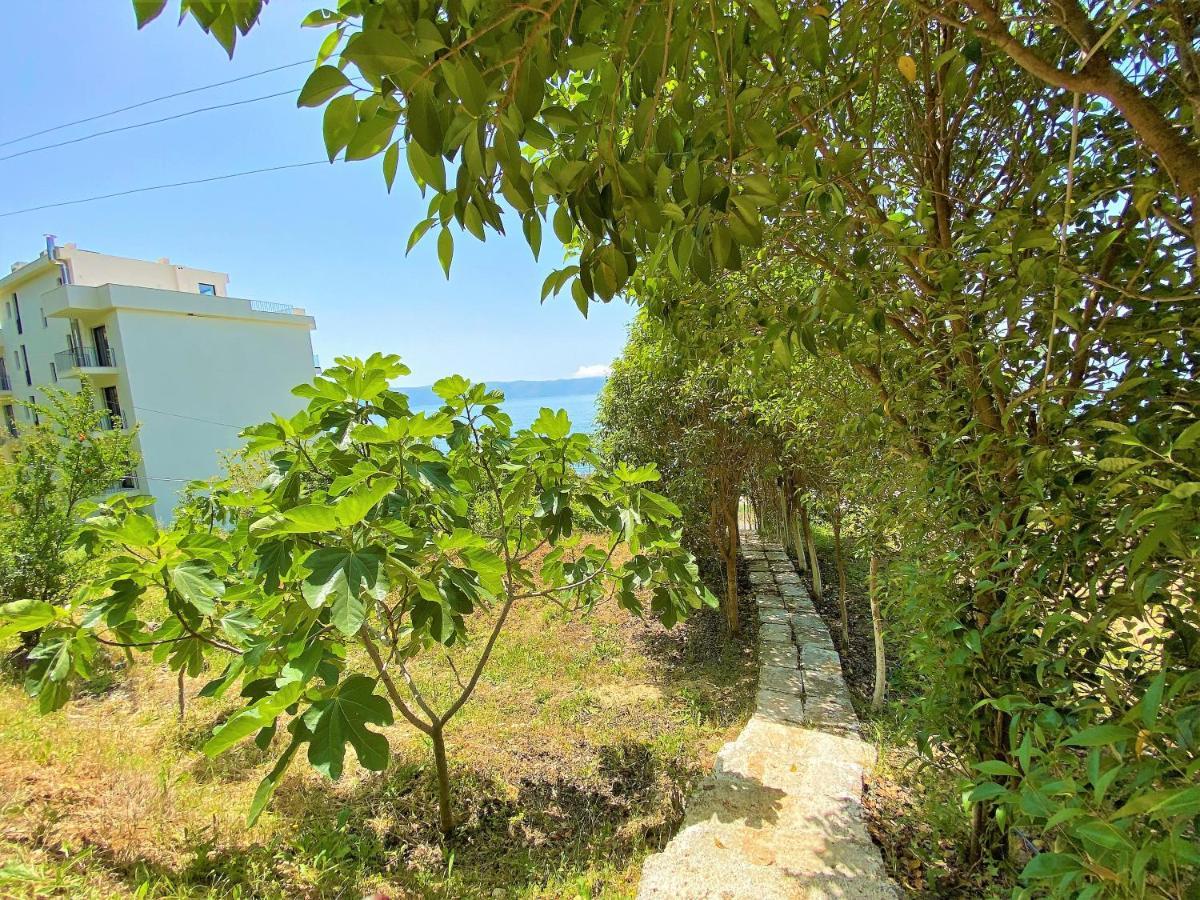 Ramo'S Cozy Beachside Haven With Panoramic Views - 1St Vlorë 外观 照片