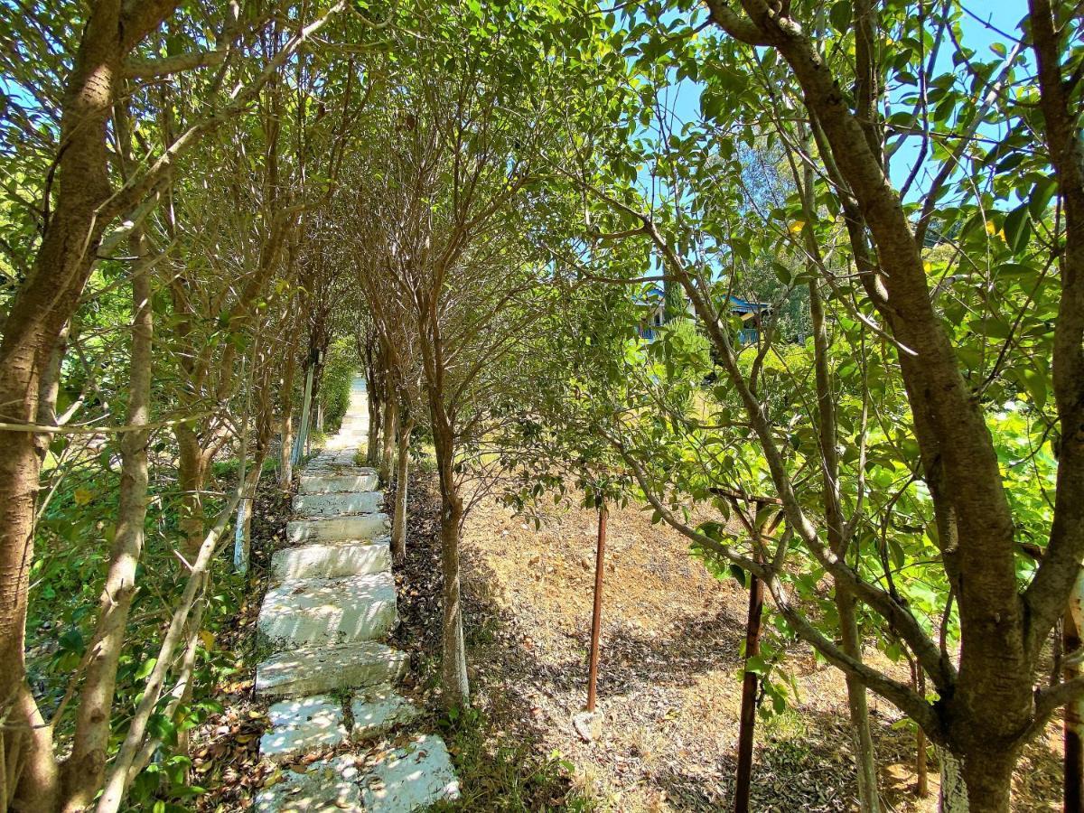 Ramo'S Cozy Beachside Haven With Panoramic Views - 1St Vlorë 外观 照片